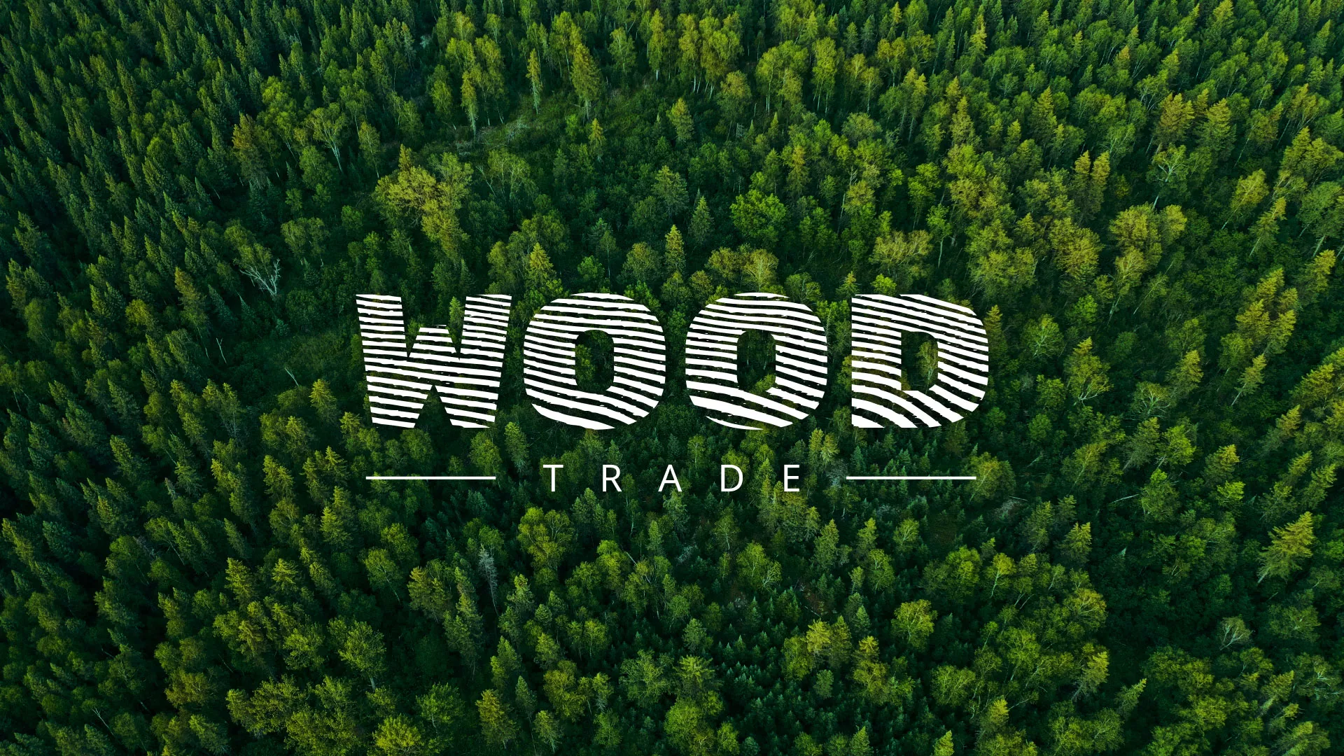 Разработка интернет-магазина компании «Wood Trade» в Сольвычегодске